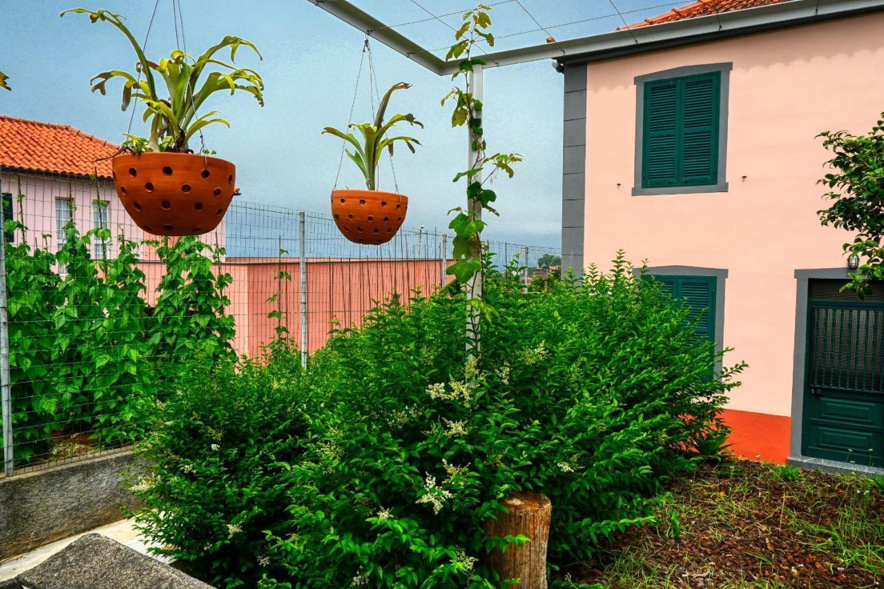 Os Ferreirinhos, A Home In Madeira เซาจอร์จ ภายนอก รูปภาพ