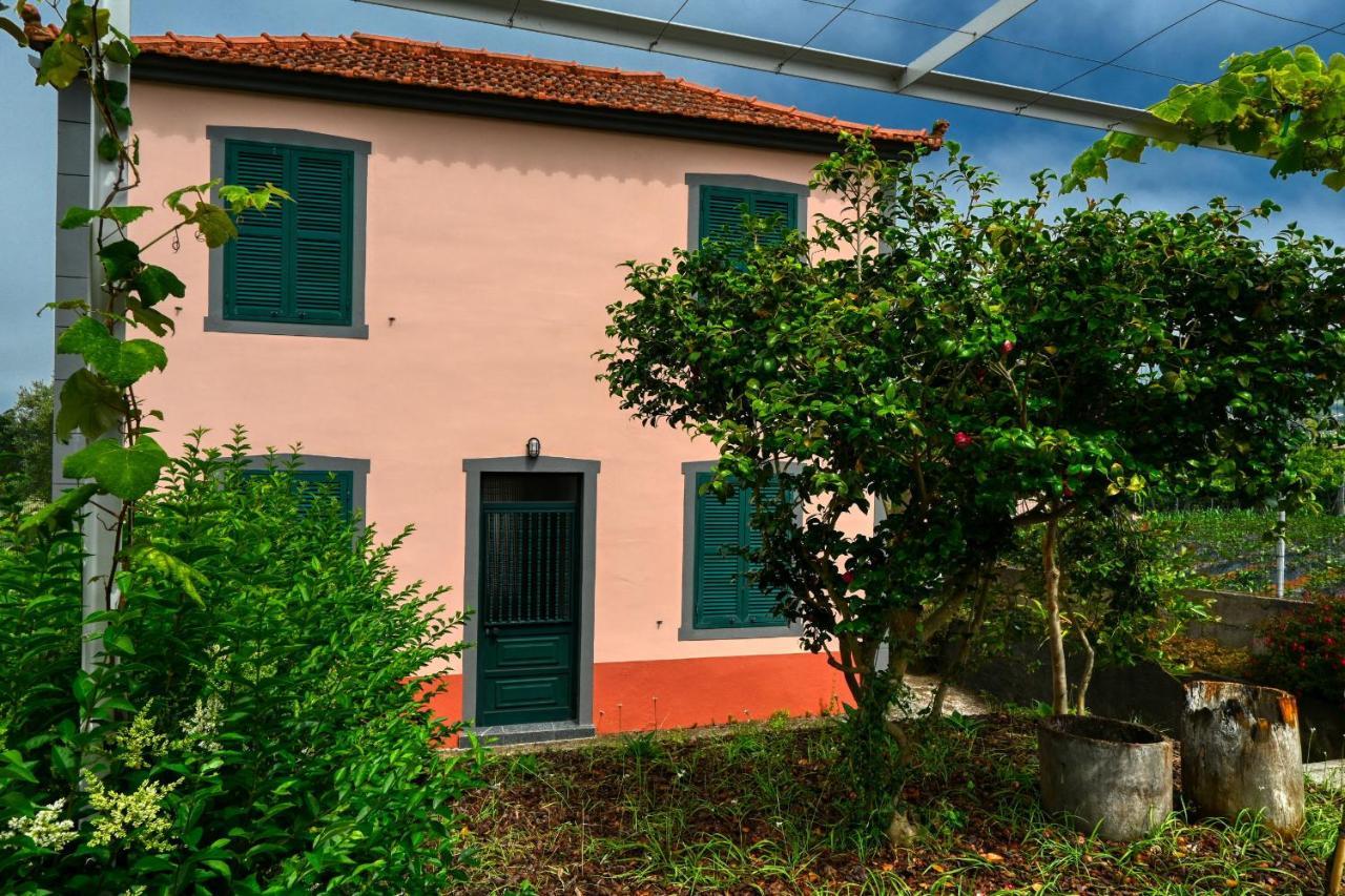Os Ferreirinhos, A Home In Madeira เซาจอร์จ ภายนอก รูปภาพ