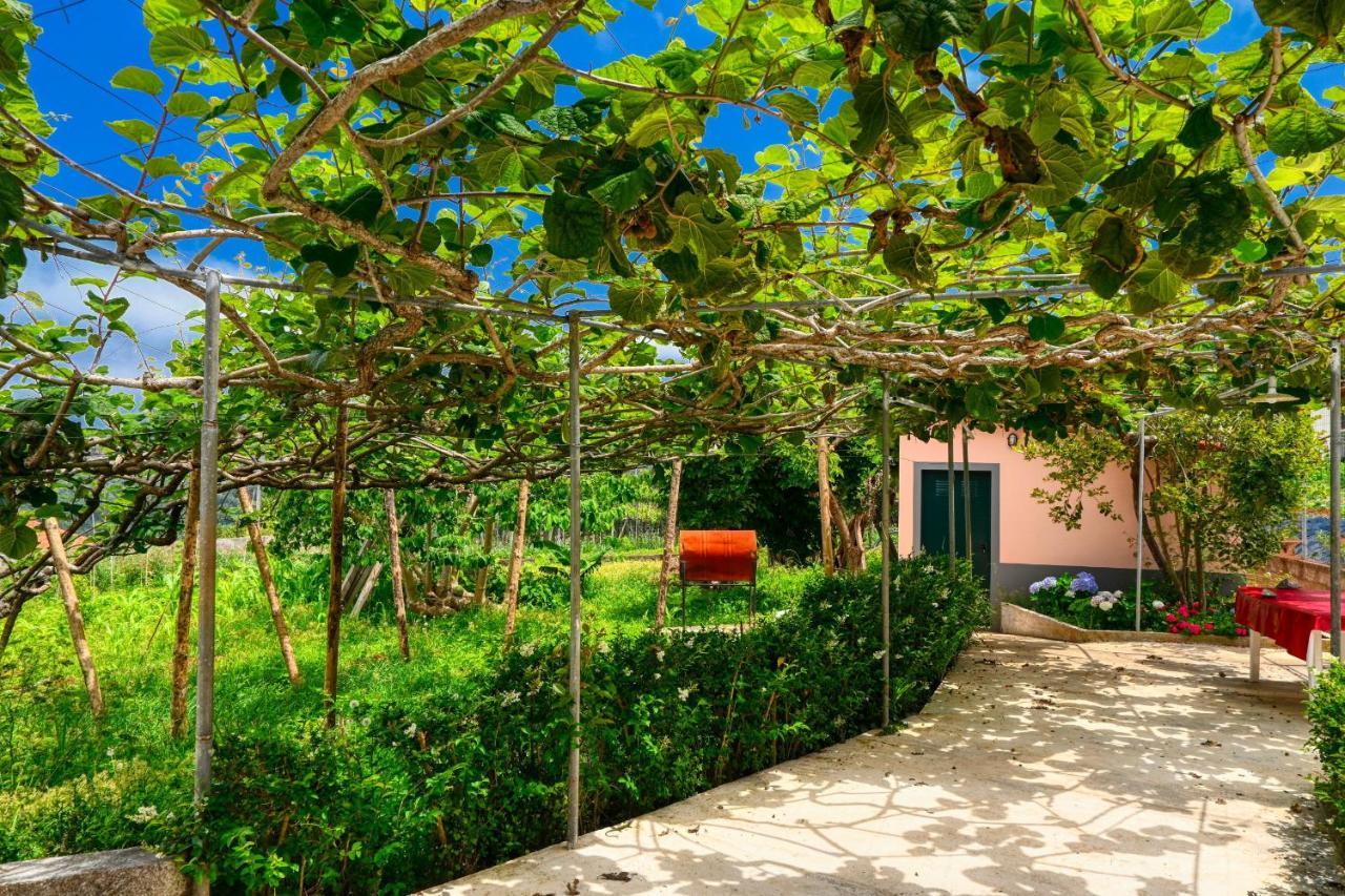 Os Ferreirinhos, A Home In Madeira เซาจอร์จ ภายนอก รูปภาพ