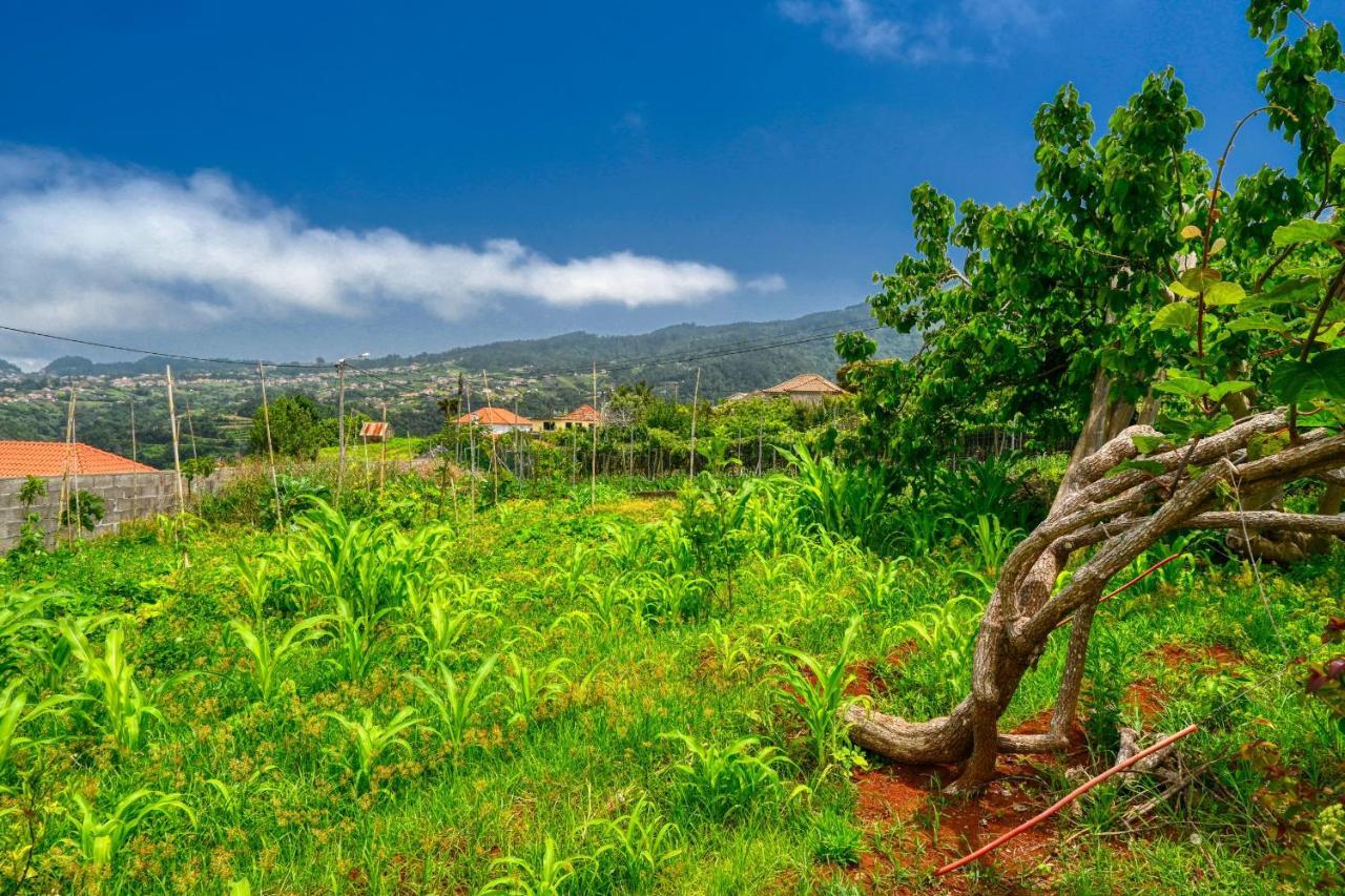 Os Ferreirinhos, A Home In Madeira เซาจอร์จ ภายนอก รูปภาพ